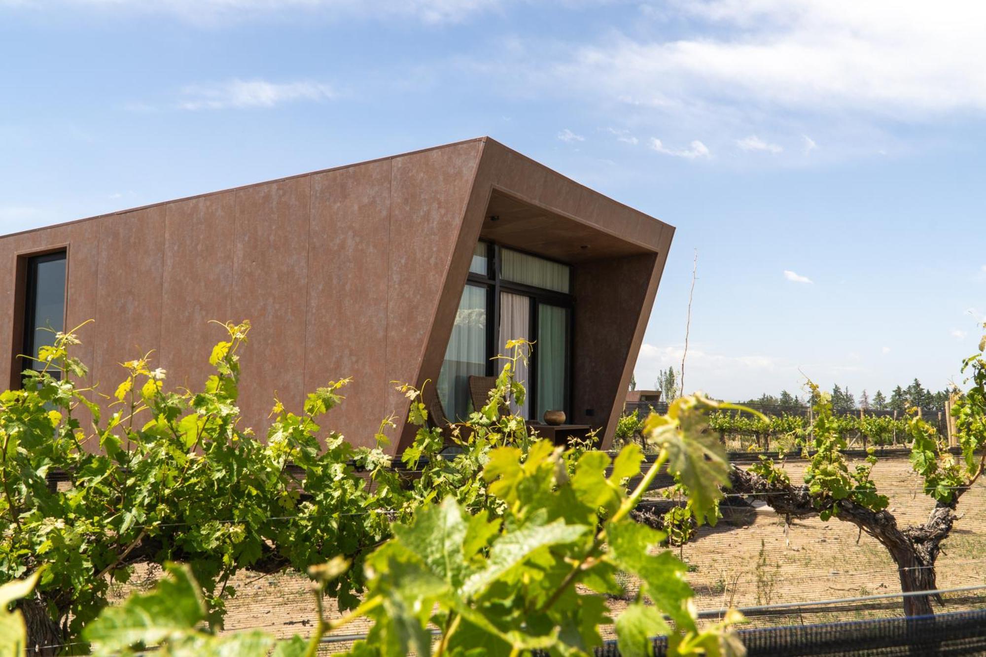 טופונגטו Andeluna Winery Lodge מראה חיצוני תמונה